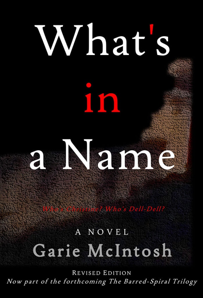 Front cover of "What's in a Name" novel (softcover)